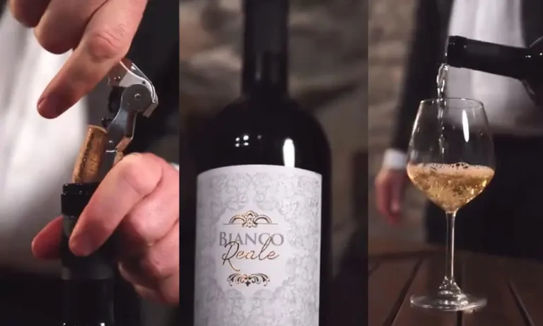 Bianco Reale: identità, equilibrio e visione enologica